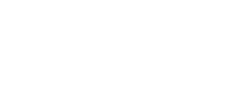 Stichting ZZP Nederland