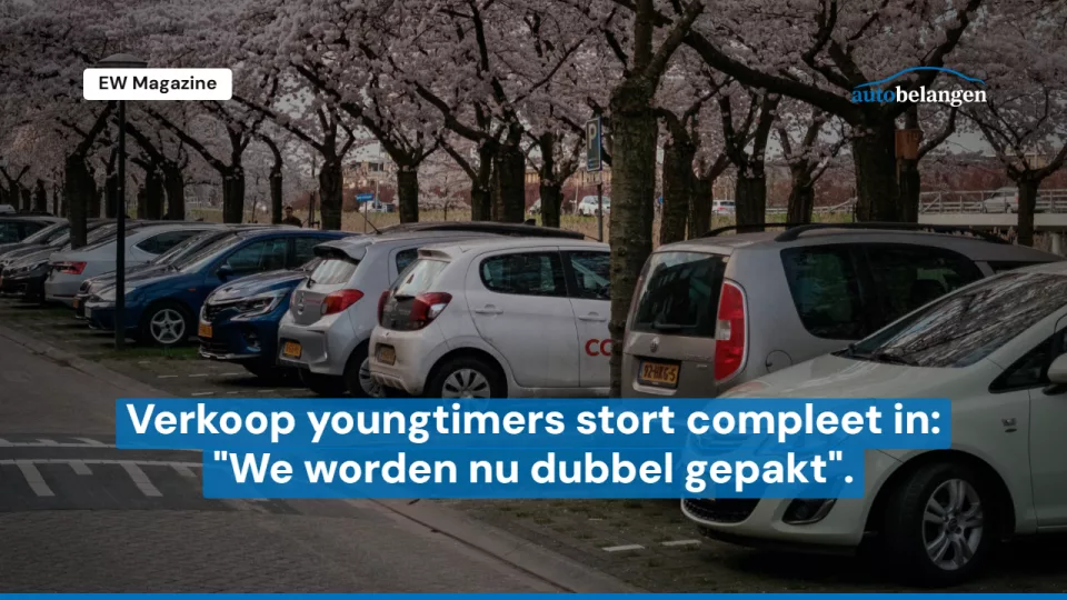 autobelangen-thumbnail-(27).png